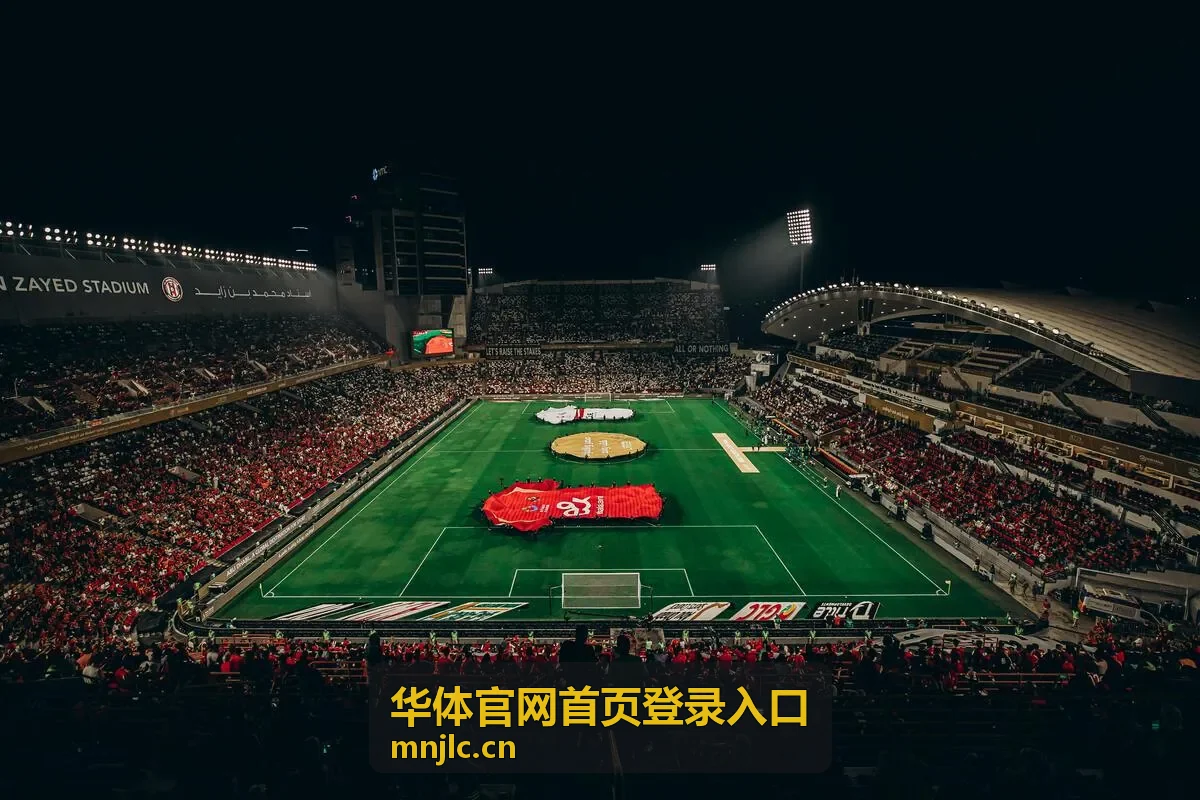华体官网首页登录入口登录记录查看演示封面